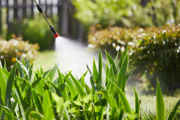 Tamper-Resistant Bait Stations for Rodents in Dogtown